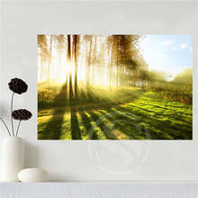 Hot Custom canvas The quiet forest poster home decoration cloth fabric wall poster print Silk Fabric Print SQ0619-5y9824 2024 - buy cheap