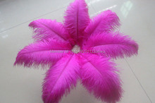 wholesale 100pcs / lot high quality Rose ostrich feathers 10-12 inches / 25 to 30 centimeters celebration stage decoration 2024 - buy cheap