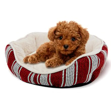 New 2015 Luxury Quality Pet Bed Dog   Cat Soft Kennel Cute Dog House Dog Princess House  Cushion Lovely Pet Products 2024 - buy cheap