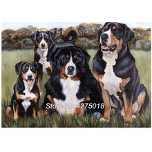 Diy Diamond Painting Cross Stitch Bernese Mountain Dog 5D Square Drill Mosaic Set Unfinished Decor Full Diamond Embroidery YG183 2024 - buy cheap