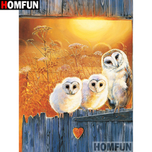 HOMFUN Full Square/Round Drill 5D DIY Diamond Painting "owl" Embroidery Cross Stitch 5D Home Decor Gift A00278 2024 - buy cheap