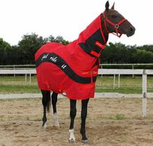 Теплые коврики со съемной одеждой для лошадей 2024 - купить недорого