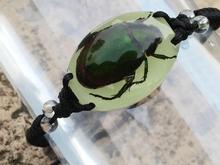 10 PCS Chinese Green Cool Scarab Beetle Insect Glow in the dark Bracelet 2024 - buy cheap