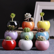 Mini Round Flowerpot Succulent Plants Pot Creative Ceramic Bonsai Pot for Office Desktop Ornaments Home Garden 2024 - buy cheap
