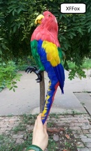 new real life colourful parrot model plastic&feather simulation parrot bird gift about 43cm xf0140 2024 - buy cheap