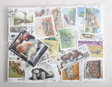 20Pcs/Lot Amphibian Snake Turtle Lizard Stamps All Different From Many Countries NO Repeat Marked Postage Stamps Collecting 2024 - buy cheap