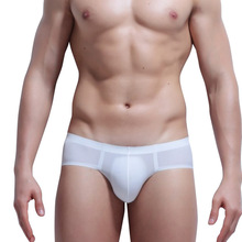 2019 Mens Underwear Briefs Summer Men's Underpants Briefs Ice Silk Transparent Low Waist Sexy Panties Male Seamless Solid Cueca 2024 - buy cheap