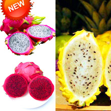 New Fresh Seeds Sweet Pitaya Bonsai Tree Plants Dragon Fruit Seeds Pitaya Seeds Non-gmo Hylocereus Fruit, 100 PCS/Lot,#450IT3 2024 - buy cheap
