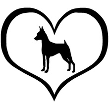 Pegatina decorativa de Animal para ventana de coche, accesorios de 10,9x9,5 CM, Mini Pinscher, corazón de perro, C6-0178 negro/plateado 2024 - compra barato