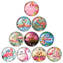 Beauty pink flamingo conjunto de 10 peças 12mm/16mm/18mm/25mm, cabochão de vidro fotográfico redondo com fundo plano, descobertas zb0570 2024 - compre barato