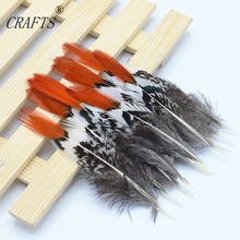 10 pcs quality natural Lady Amherst Pheasant feathers, 4-6inches / 10-15cm DIY decorative handicrafts accessories 2024 - buy cheap
