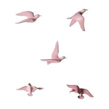 Placa 3d de resina náutica 5 peças, pássaros escultura artesanato pendurado na parede decoração murais para café pub bar rosa 2024 - compre barato