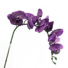 Nueva llegada 39.3 ''artificial mariposa orquídea Flor de material de látex real Touch Phalaenopsis boda flores 5 unids 2024 - compra barato