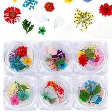 6  Mixed styles fresh nails natural dried flowers green leaf for uv gel nail art uv gel tips decoration nail supplies tool 2024 - buy cheap