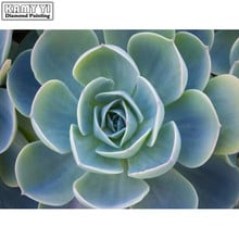 Full Round Diamond 5D DIY Diamond Painting Embroidery Cross stitch Succulents Rhinestone Mosaic Painting Decor Gifts 2024 - buy cheap