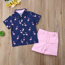Детская летняя одежда, комплект из 2 предметов для маленьких мальчиков, футболка с изображением фламинго + шорты, комплект со штанами, одежда с короткими рукавами, От 1 до 6 лет, 2019 2024 - купить недорого
