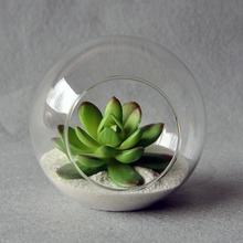 Прозрачные стеклянные настольные вазы Meet Jo, цветочное растение для гостиной, дома, сада, фотоконтейнер, 1 шт. 2024 - купить недорого