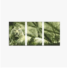 Triplet Tiger Animal Needlework Embroidery Cross Stitch Kit Factory Sale 18CT/16CT/14CT/11CT/9CT 2024 - buy cheap