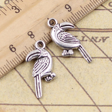 15pcs Charms Parrot Bird 25x13mm Tibetan Pendants Crafts Making Findings Handmade Antique Jewelry DIY For Necklace 2024 - buy cheap