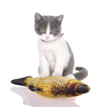 Игрушка для кошек, рыбы, плюшевая мягкая игрушка-собака в форме рыбы, игрушка для кошек, Когтеточка, милый питомец, кошачья мята, устойчивость к царапинам 2024 - купить недорого