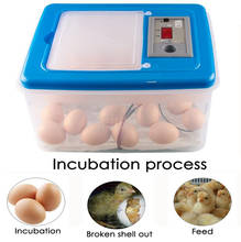 Мини 32 инкубатор для яиц, инкубатор для птицы, инкубатор с цифровой температурой, инкубатор для яиц, курица, утка, птица, голубь 2024 - купить недорого
