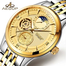 AESOP Fashion Luxury Brand Men's Watches 2019 Mechanical Watch Gold Male Skeleton Automatic Wristwatch relogio masculino 2024 - buy cheap