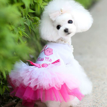 Verão Vestido de Cão do animal de Estimação Roupa Do Cão para Cão Pequeno Vestido De Casamento Da Princesa Rosa Saia Tutu Filhote de Cachorro Roupas Para Animais De Estimação Primavera Moletom Com Capuz vestido 2024 - compre barato