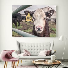 SPLSPL-carteles de animales de vaca Highland, pintura en lienzo para decoración moderna del hogar, sala de estar de pared para imágenes artísticas, sin marco 2024 - compra barato