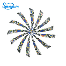 50/100pcs Archery Turkey Feathers 4 Inch Shield Right Wing Feather Fit Arrow Shafts Shooting Hunting Bow And Arrow Accessories 2024 - buy cheap
