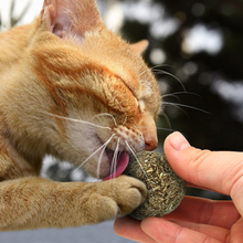 Pet Cat Natural Catnip Treat Ball Favor Home Chasing Toys Healthy Safe Edible Treating 2024 - buy cheap