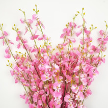 Flor de seda para decoración de interiores, rama de orquídeas artificiales para baile, boda, granja, 1 unidad 2024 - compra barato