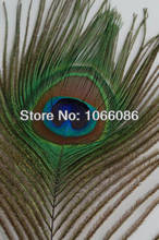Free Shipping! 100pcs/lot 25-30cm Big Eye width 3-5cm Top quality peacock feather natural peacock feathers plumes 2024 - купить недорого