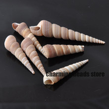 40-60mm Natural Spiral seashell Scrapbook Craft for home decoration DIY 15pcs TRS0046 2024 - buy cheap