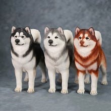 1/6 Scale Mr.Z No 32 Animal Model High Imitation Alaskan Malamute Pet Dog For 12' Action Figure Body Scene Accessory 2024 - buy cheap