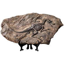 Creative Retro Dinosaur Specimen Fossil Model Decoration Bookcase Study Wine Cabinet Small Crafts Ornaments 2024 - buy cheap