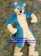 Azul branco longo pele peludo lobo raposa husky cão fursuit mascote traje adulto personagem promoções de marketing sessão de abertura zx466 2024 - compre barato