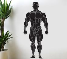 Human Body Gym Wall Sticker Vinyl Removable Wall Decals Vinilos Paredes Living Room Home Decor Mural Gym Sticker Posters LA827 2024 - buy cheap