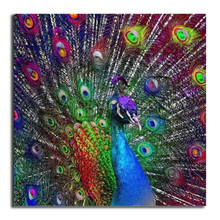 5D DIY Diamond painting color peacock Full Square Diamond mosaic animal Full Round Diamond embroidery Cross stitch bird 2024 - buy cheap