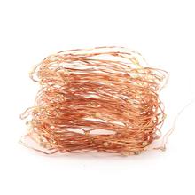 5M 50 LED Copper Wire LED String Lights Holiday Lighting For Fairy Christmas Tree Garland Wedding Party Decoration USB Interface 2024 - buy cheap
