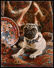 Needlework for embroidery DIY French DMC High Quality - Counted Cross Stitch Kits 14 ct Oil painting - Pug with Bells 2024 - buy cheap