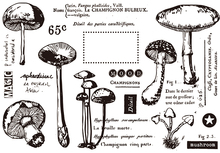 Mushroom 3-sello transparente para álbum de recortes, sello de goma de silicona transparente, bricolaje, decoración de fotos de 2024 - compra barato
