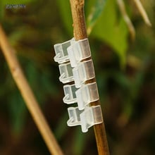 Clips de injerto de plástico transparente y duradero para jardín, herramienta para plantas, flores, vid, arbustos, 100 unids/set por juego 2024 - compra barato