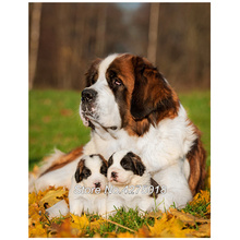 Full Square Diamond Embroidery DIY Diamond Painting Cross Stitch Kits pets saint bernard Dog Animal 5D Drill Mosaic Decor YG395 2024 - buy cheap