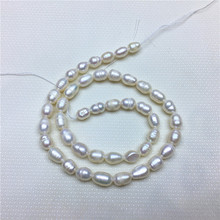 White Color Natural Fresh Water Pearl 5-6mm Oval Seed Loose Beads DIY Women Elegant Necklace Bracelet Jewelry Making 2024 - buy cheap