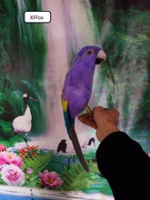 Nueva Vida real púrpura loro modelo espuma y pluma simulación loro pájaro regalo alrededor de 42 cm xf0227 2024 - compra barato