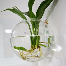 Прозрачный стеклянный круглый Террариум, подвесная гидропонная ваза с цветами для украшения дома, свадьбы, сада 2024 - купить недорого