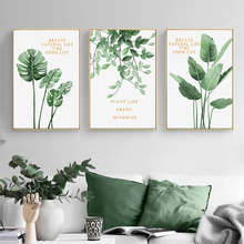 Green Plant Home Decoration Wall Art Canvas Painting Monstera Leaf Nordic Posters and Prints Wall Pictures for Living Room Decor 2024 - buy cheap