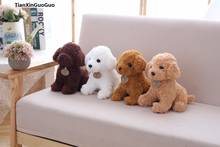 about 20cm lolvely teddy dog plush toy soft doll baby toy birthday gift s0357 2024 - buy cheap