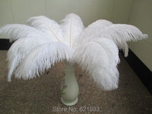 50pcs/lot!22-24inch 55-60CM White Ostrich Feather plumes for table centerpiece wedding centerpiece FREESHIPPING 2024 - buy cheap