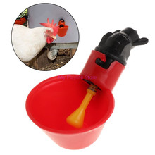 Chicken Drinking Cup Automatic Chicken Waterer Parrot Drinking Bowl Water Feeder Poultry Drinker For Birds Feeding C42 2024 - buy cheap